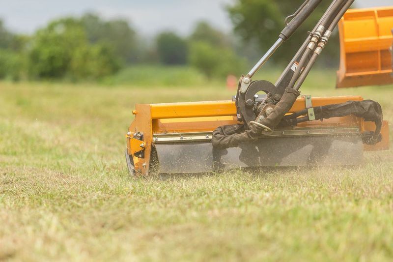 Lawn & Turf